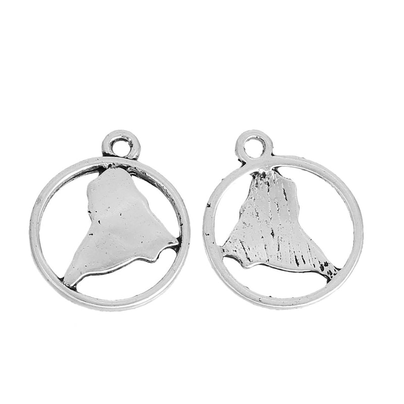 10 SOUTH AMERICA Map Charms, Travel Charms, Map in Circle, Silver Map Continent Pendants, 20x16mm, chs2445