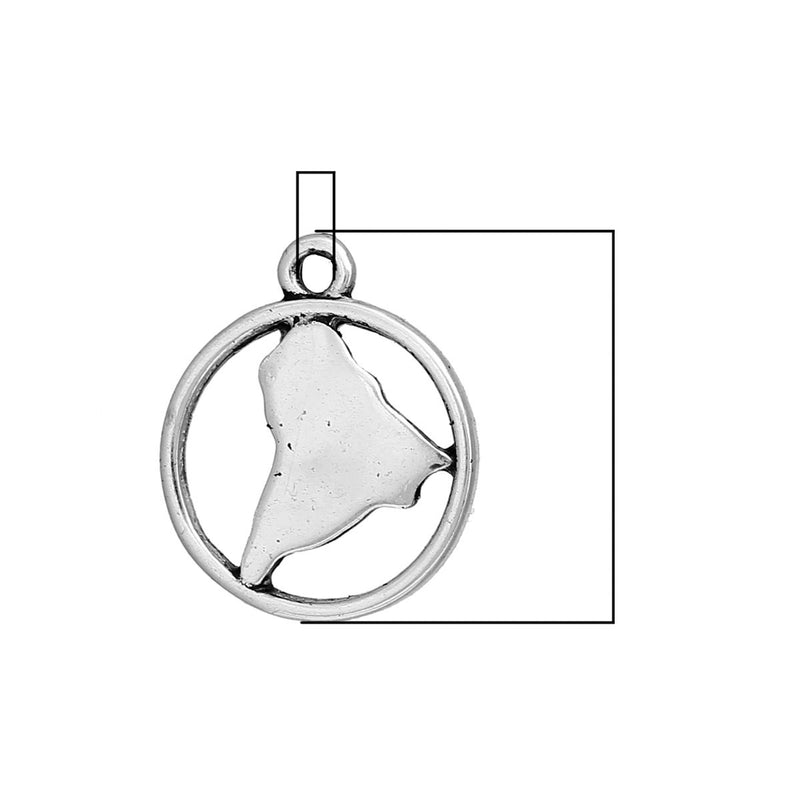 10 SOUTH AMERICA Map Charms, Travel Charms, Map in Circle, Silver Map Continent Pendants, 20x16mm, chs2445