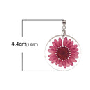 2 Acrylic Pendants, Natural REAL FLOWERS, Hot Pink Flower with leaves, circle disc shape, silver bail, 1-1/4" diameter cha0187