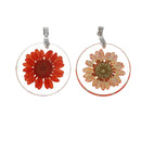 2 Acrylic Pendants, Natural REAL FLOWERS, Coral Red Flower with leaves, circle disc shape, silver bail, 1-1/4" diameter cha0185