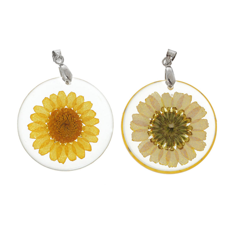 2 Acrylic Pendants, Natural REAL FLOWERS, Yellow Flower with leaves, circle disc shape, silver bail, 1-1/4" diameter cha0186