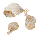 2 Natural Conch SeaShell Charms with gold plating and gold bail, white/tan/peach sea shell, about 0.75" to 1.25" long cho0147