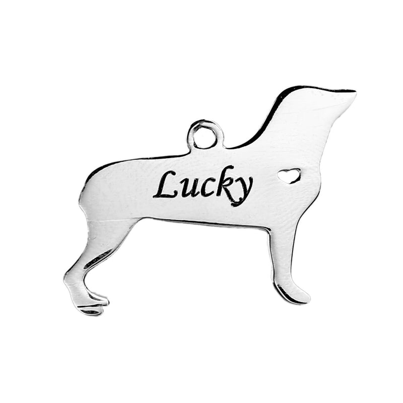 2 Stainless Steel ROTTWEILER Charm Pendants, Dog Shape Charms, Design Metal Stamping Blanks 31x22mm, 15 gauge, chs2485