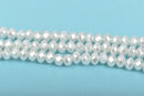 6mm Pearl WHITE Opaque Crystal Glass Faceted Rondelle Beads, 1 Strand, about 65 beads, bgl1578