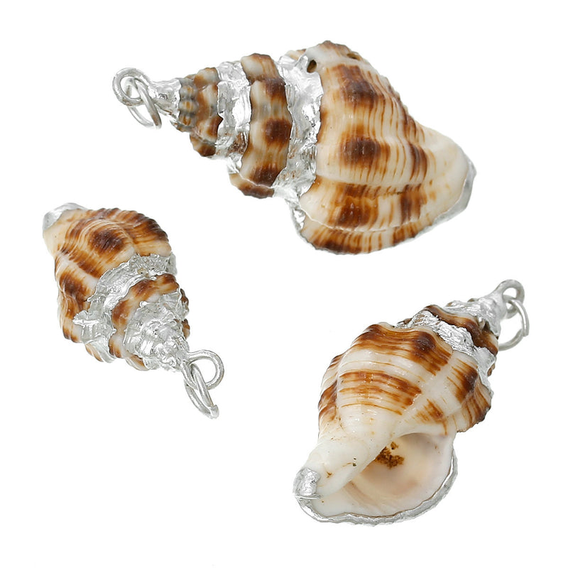 5 Natural Conch SeaShell Charms with silver plating and silver bail, white/tan/brown sea shell, about 1.15" to 1.5" long cho0185