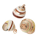 5 Natural Sea Shell Charms with gold plating and gold bail, white/tan/yellow seashell, about 7/8" to 1 1/8" long cho0180