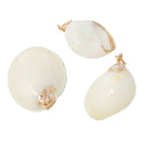 5 Natural Sea Shell Charms with gold plating and gold bail, white pearly seashell, about 1 1/8" to 1 1/2" long cho0183
