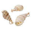 5 Natural Sea Shell Charms with gold plating and gold bail, white/tan/brown seashell, about 1" to 1 1/4" long,  cho0182