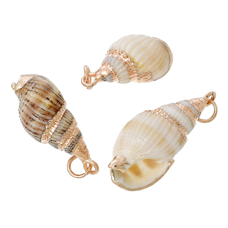 5 Natural Sea Shell Charms with gold plating and gold bail, white/tan/brown seashell, about 1" to 1 1/4" long,  cho0182