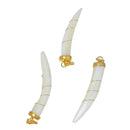 2 Sea Shell Charms with gold plated wire and pinch bail, Horn/Fang/Tusk Shaped white seashell, about 1 3/4" to 1 7/8" long cho0181