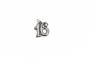 2 Stainless Steel SWEET SIXTEEN Charm Pendants, number sweet sixteen driving age charm, class of 2016 charm, 19.5x17.5 chs2817