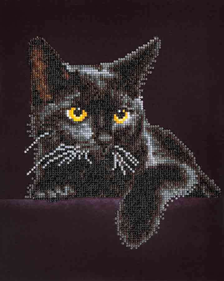 Rhinestone Painting Kit, MIDNIGHT CAT, Diamond Dotz Diamond Embroidery, Diamond Facet Art, Bling Wall Art 11x14" canvas kit0094