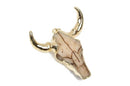 BULL LONGHORN Skull Pendant Bead, Resin Molded with 14k gold plated pendant bail, 2" wide cho0166