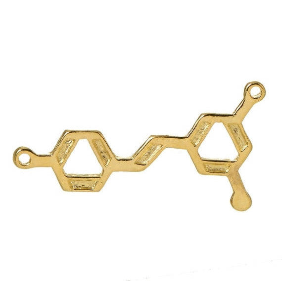 5 RESVERATROL Red Wine Molecule Chemistry Charms, Gold Tone Charm Pendants, Science Charms, 28x15mm, chg0399