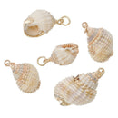 2 Natural Conch SeaShell Charms with gold plating and gold bail, white/tan/peach sea shell, about 0.75" to 1.25" long cho0147