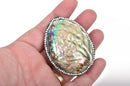 ABALONE Shell Pendant with Rhinestones, Large Pavé Pendant, Double Sided Natural Seashell, Paua Shell, 2-1/8" to 2-1/2" long cgm0057