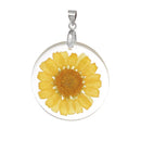 2 Acrylic Pendants, Natural REAL FLOWERS, Yellow Flower with leaves, circle disc shape, silver bail, 1-1/4" diameter cha0186