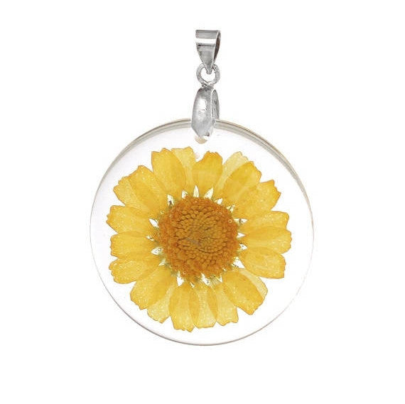 2 Acrylic Pendants, Natural REAL FLOWERS, Yellow Flower with leaves, circle disc shape, silver bail, 1-1/4" diameter cha0186