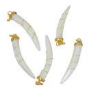 2 Sea Shell Charms with gold plated wire and pinch bail, Horn/Fang/Tusk Shaped white seashell, about 1 3/4" to 1 7/8" long cho0181