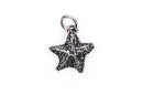 STARFISH Sterling Silver Charm Pendant,  pms0138