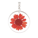 2 Acrylic Pendants, Natural REAL FLOWERS, Coral Red Flower with leaves, circle disc shape, silver bail, 1-1/4" diameter cha0185