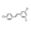 5 RESVERATROL Red Wine Molecule Chemistry Charms, Silver Tone Charm Pendants, Science Charms, 28x15mm, chs2389