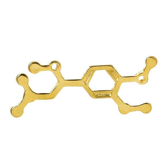 5 ADRENALINE Molecule Chemistry Charms, Gold Tone Charm Pendants, Science Charms, 30x12mm, chg0402