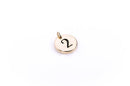 Gold Plated Circle Disc Charm Pendant, number 2,   chg0104