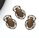 1 VINTAJ Scarab Beetle Connector Charm Pendant  32mm x 20mm, natural brass . chb0273