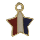 5 USA STAR Charms or Pendants . Gold Plated with enamel, red white blue, 5/8" chg0336a