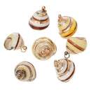 5 Natural Sea Shell Charms with gold plating and gold bail, white/tan/yellow seashell, about 7/8" to 1 1/8" long cho0180