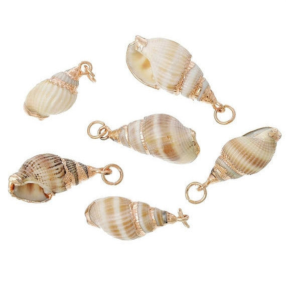 5 Natural Sea Shell Charms with gold plating and gold bail, white/tan/brown seashell, about 1" to 1 1/4" long,  cho0182