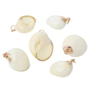 5 Natural Sea Shell Charms with gold plating and gold bail, white pearly seashell, about 1 1/8" to 1 1/2" long cho0183