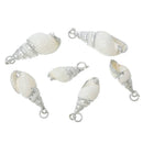 5 Natural Sea Shell Charms with silver plating and silver bail, white seashell, about 1" to 1 1/4" long cho0184