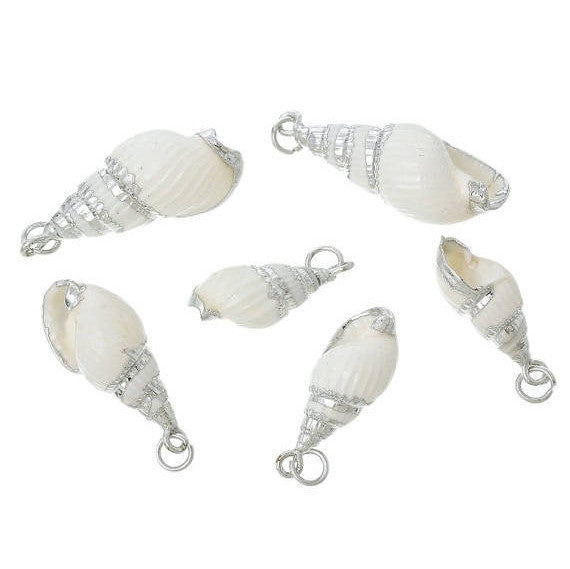 5 Natural Sea Shell Charms with silver plating and silver bail, white seashell, about 1" to 1 1/4" long cho0184