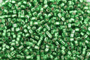 Size 15/0 Miyuki Delica Seed Beads, Silver Lined Light Green, Color DBS0046, 7 grams, bsd0050