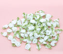 10 WHITE Bridal Satin Ribbon Flowers Wedding Appliques Scrapbooking 27x16mm Fabric Roses for Packaging, Weddings rib0068