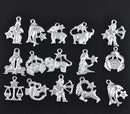 60 Silver Plated Metal Mixed ZODIAC Charms or Pendants with RHINESTONES  5 of each sign Chs1688