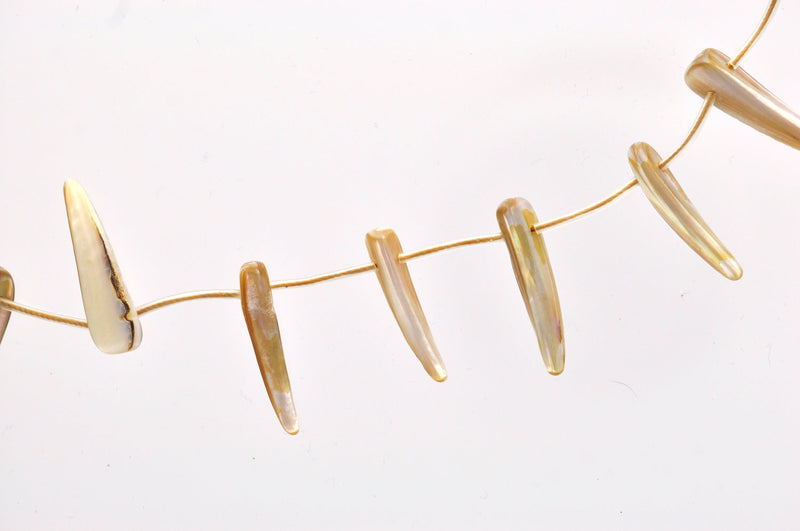 16" Strand Natural Shell DAGGER SPIKE Beads, about 1" long bsh0004