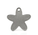 10 Stainless Steel Metal Stamping Blanks Charms, 5-POINT STAR shape, 18 gauge  . MSB0092a