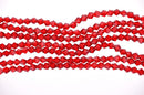 1 Strand CHRISTMAS RED non-AB Faceted Bicone Crystal Glass Beads 6 x 6mm bgl0425
