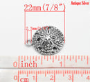 10 SAND DOLLAR Shell Charm Pendants. chs0807