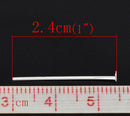 Bulk Package 700 Bright Silver Plated Metal Flat Head Pins 21/22 gauge, 24mm long (1" long) pin0002