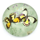 4 BUTTERFLY PAIR Round Glass Dome Circle Seals Cabochons, 16mm (5/8")  cab0172