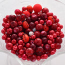 ROCKIN RED Glass Bead Soup Mix, Crystal, crackle glass, lampwork, crystals, pearls 2" x 3" bag bgl0259