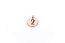 Gold Plated Circle Disc Charm Pendant, number 2,   chg0104