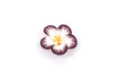 4 Polymer Clay Flower Pansy Plumeria Violet Beads . 25mm (1") . BROWN YELLOW, WHITE pol0039