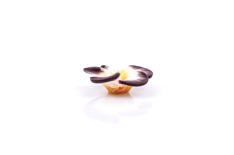 4 Polymer Clay Flower Pansy Plumeria Violet Beads . 25mm (1") . BROWN YELLOW, WHITE pol0039
