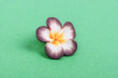 4 Polymer Clay Flower Pansy Plumeria Violet Beads . 25mm (1") . BROWN YELLOW, WHITE pol0039