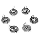 12 Antiqued Silver Metal ZODIAC SIGN Charm Pendants, 1 of each design,  chs1536